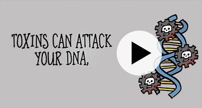 Toxins can attack your DNA. Watch this video to learn more.