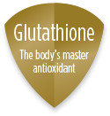 Glutathione: The body's Master antioxidant